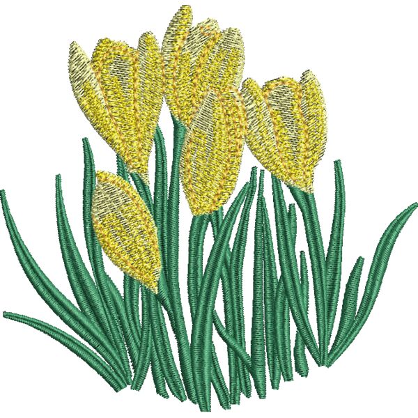 FP299 Thumbnail