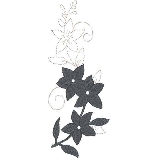 FQ290 48 Thumbnail